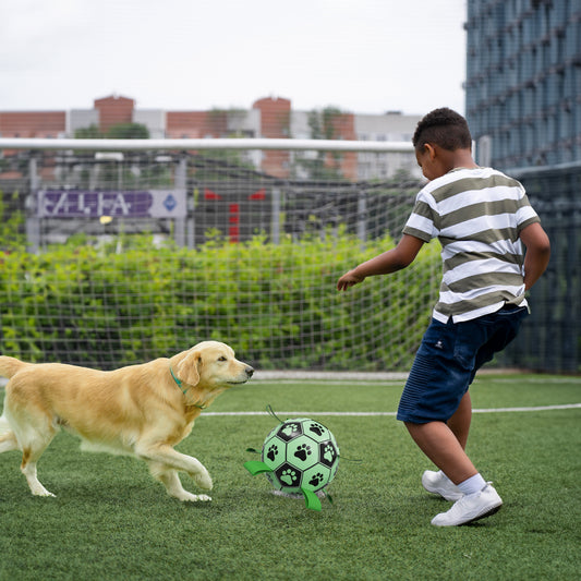 New Design Durable Pet Toy Luminous Glowing Green Soccer Ball