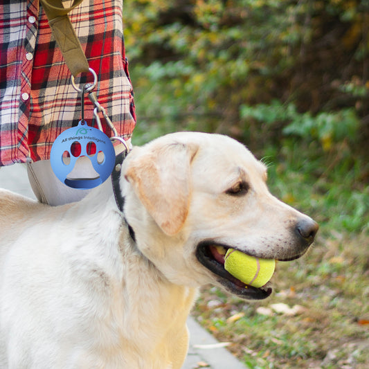 Tennis Ball Silicone Holder +8 Squeaky Tennis Balls