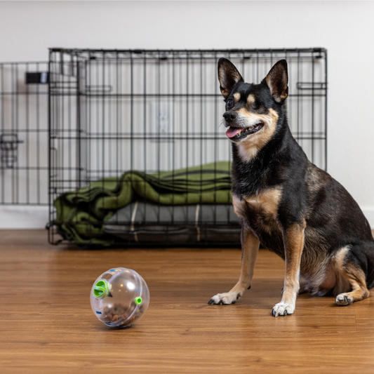 Treat Dispenser Ball Replacement with Lock Gate for 8-in-1 Multifunctional Slow Feeder Dog Bowls & Snuffle Mat for Dogs Cats Foraging