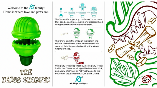 NEW! Venus Chomper - Bully Stick Holder for all Breeds with Treat Dispensing and Wet Treat Slot for Extended Play Time & Gum Care; Durable